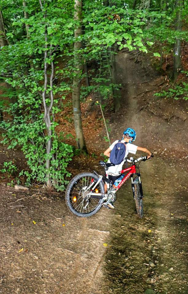 Dziecko, stromy zjazd przez las, Zamek Wołek w Kobiernicach