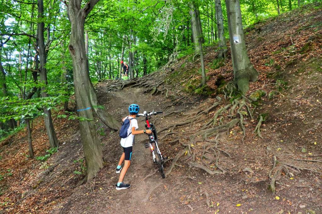 Dziecko z rowerem, stromy podjazd przez las, Zamek Wołek w Kobiernicach