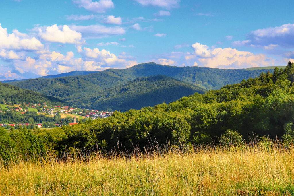 Kobiernice Wołek, polana, góry