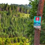 Nová Bystrica - Słowacja, znak na drzewie, zakaz samochodów, niebieski szlak rowerowy