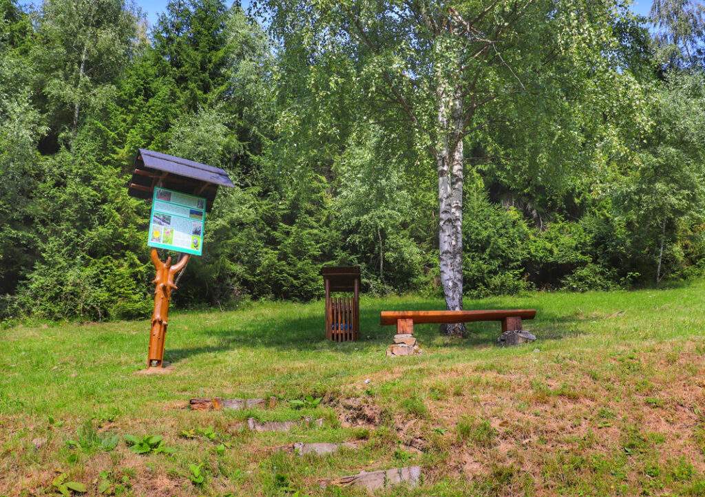 Oszczadnica, tablica edukacyjna, ławka na żółtym szlaku