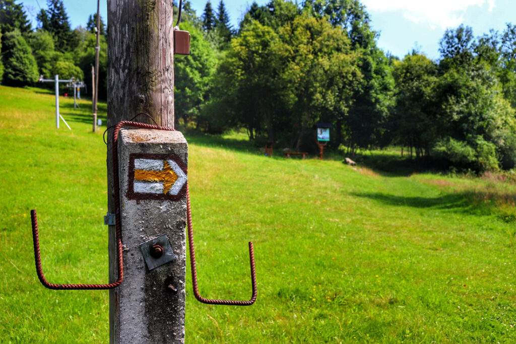 Oszczadnica żółty szlak - miejsce skrętu szlaku w prawo