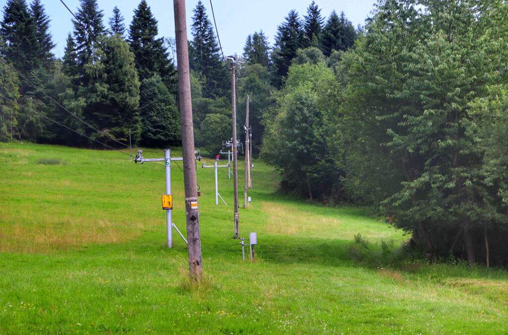 Oszczadnica żółty szlak, ścieżka, wyciąg