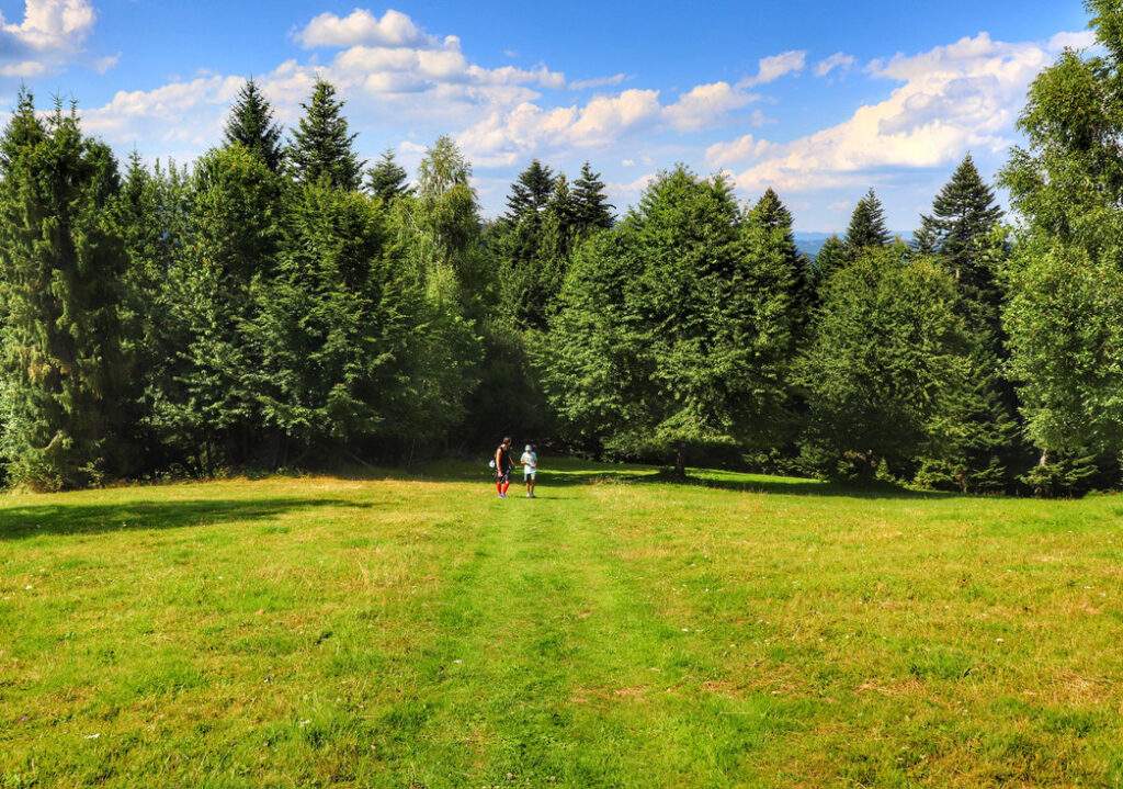 Polana, turysta z dzieckiem, żółty szlak - Oszczadnica