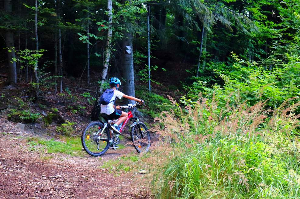 Porąbka, dziecko na rowerze, ścieżka leśna