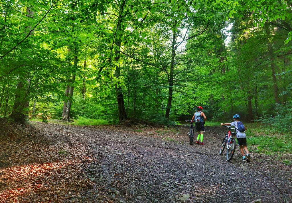Porąbka, dziecko z tatą na rowerze, ścieżka leśna