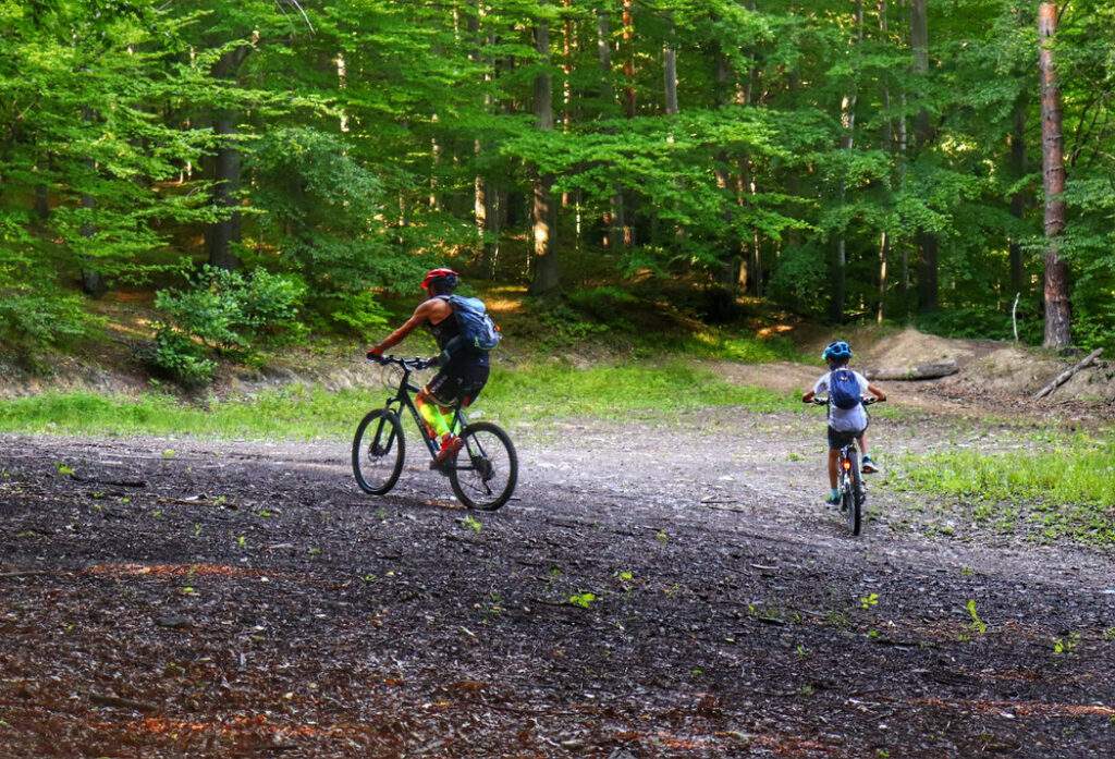 Porąbka, rowerzysta z dzieckiem, droga leśna