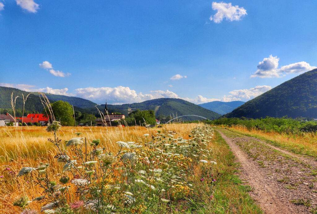 Porąbka, ścieżka wzdłuż jeziora, góry, w oddali most w Porąbce