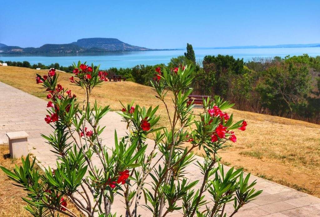 Punkt widokowy Szépkilátó na jezioro Balaton, .Balatongyörök - Węgry