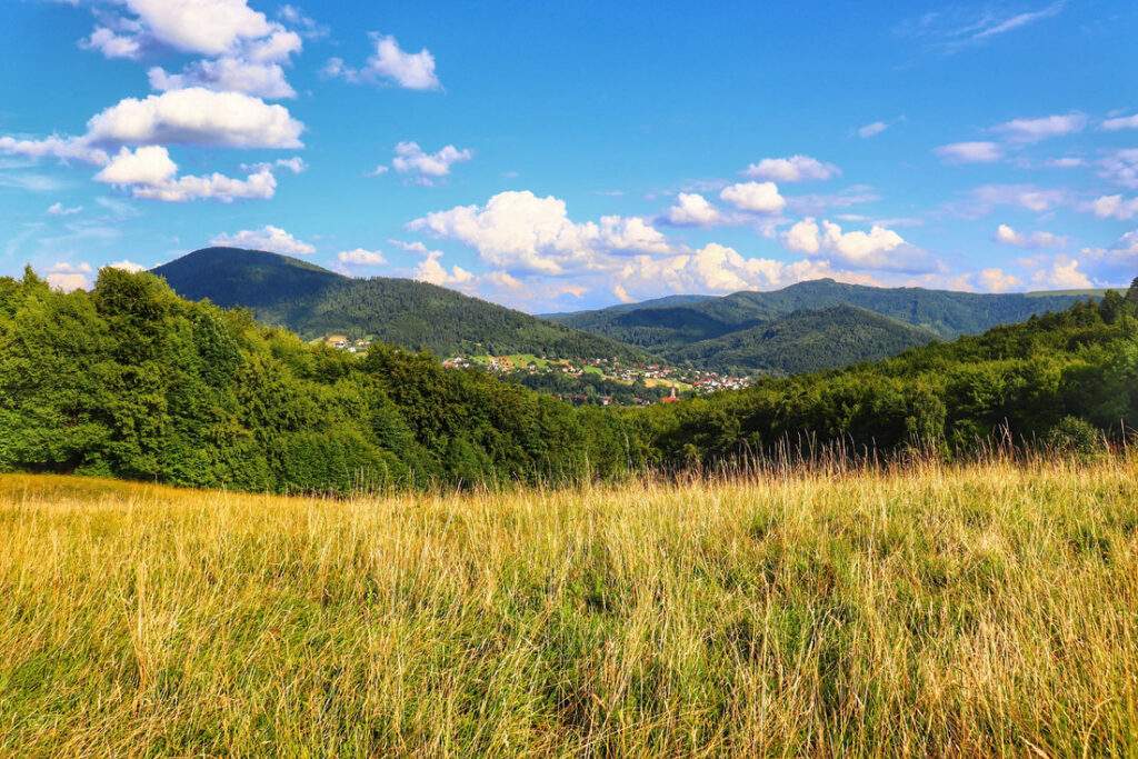 Punkt widokowy w Kobiernicach - Kobiernice Wołek, polana, krajobraz górski