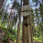 Rezerwat Przyrody Bukovec, Czechy - las, tabliczka na drzewie NEJVÝCHODNĚJŠÍ BOD ČR