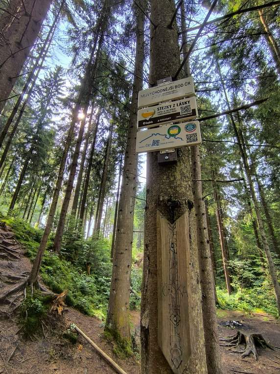 Rezerwat Przyrody Bukovec, Czechy - las, tabliczka na drzewie NEJVÝCHODNĚJŠÍ BOD ČR