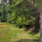 Rezerwat Przyrody Bukovec w Czechach, zielony szlak, las