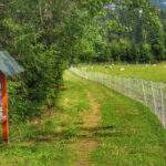 Ścieżka przyrodnicza, tablica 2. Trocha historie nikoho nezabije - Rezerwat Przyrody Bukovec, Czechy