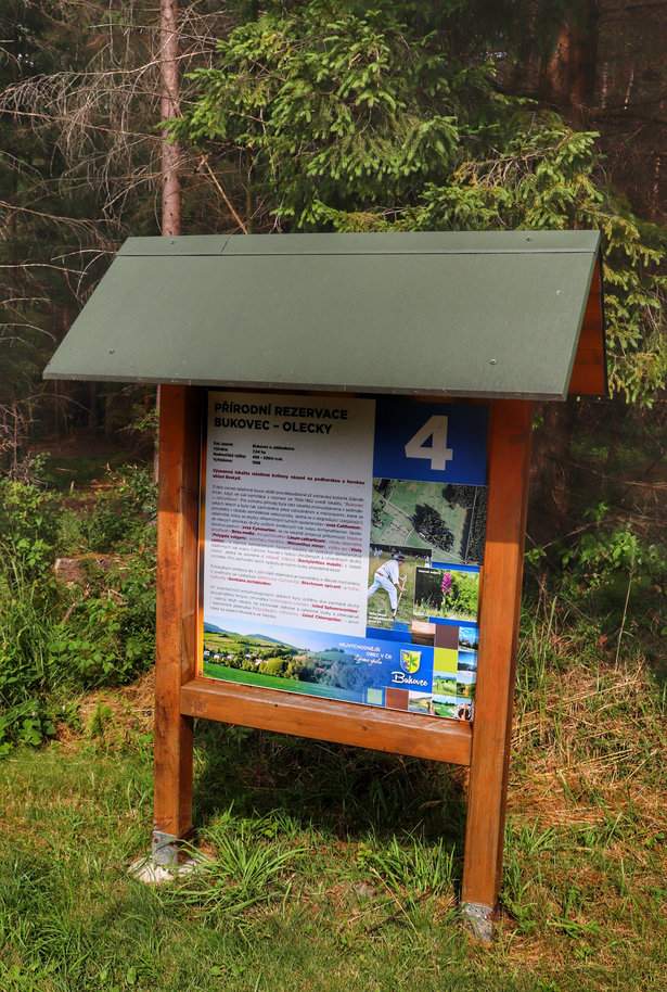Ścieżka przyrodnicza, tablica 4. Přírodní rezervace Bukovec – Olecky - Rezerwat Przyrody Bukovec, Czechy