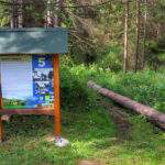 Ścieżka przyrodnicza, tablica 5. Život v Goralii - Rezerwat Przyrody Bukovec w Czechach