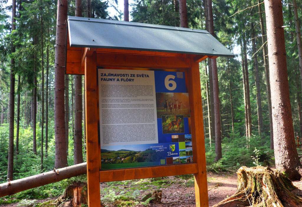 Ścieżka przyrodnicza, tablica 6. Zajímavosti ze světa fauny a flóry - Rezerwat Przyrody Bukovec, Czechy