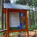 Ścieżka przyrodnicza, tablica 6. Zajímavosti ze světa fauny a flóry - Rezerwat Przyrody Bukovec, Czechy