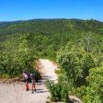 Turysta z dzieckiem, las, ścieżka prowadząca do wieży widokowej Bél Mátyás-kilátó - Balatongyörök, piękny i słoneczny dzień na Węgrzech