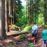 Turysta z dzieckiem, las świerkowy, ścieżka przyrodnicza, tablica 6 - Rezerwat Przyrody Bukovec, Czechy