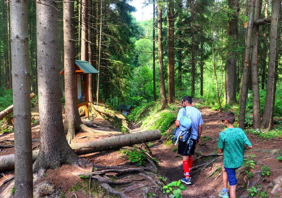 Turysta z dzieckiem, las świerkowy, ścieżka przyrodnicza, tablica 6 - Rezerwat Przyrody Bukovec, Czechy