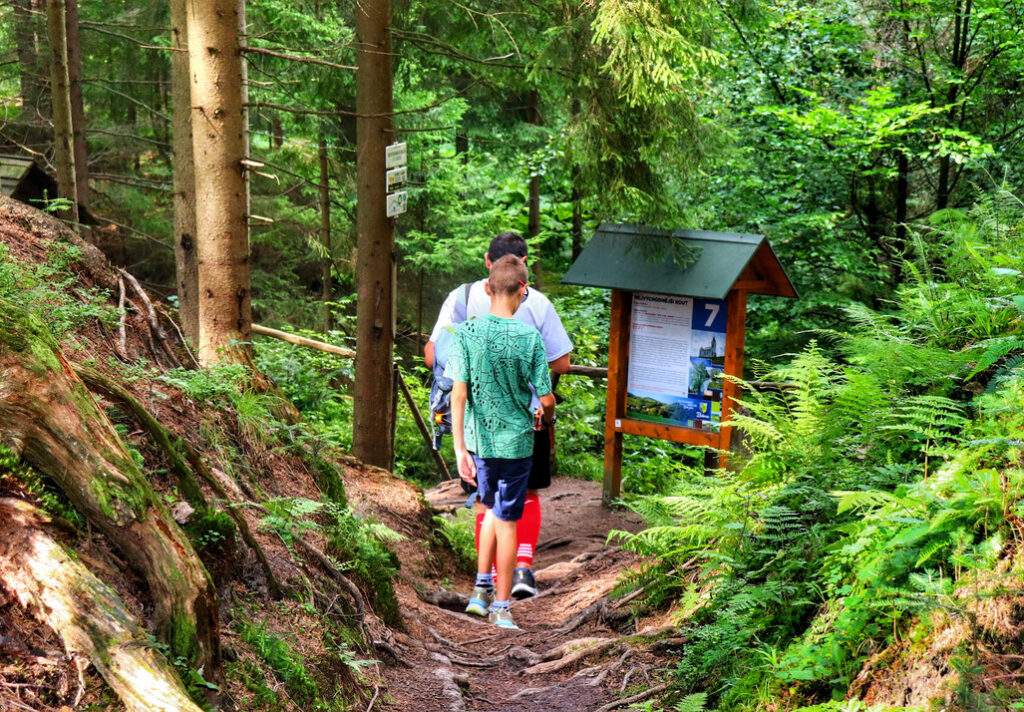 Turysta z dzieckiem, ścieżka przyrodnicza, tablica 7. Nejvýchodnější kout - Rezerwat Przyrody Bukovec, Czechy