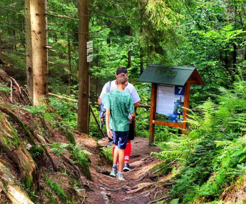 Rezerwat Przyrody Bukovec (Přírodní rezervace Bukovec), Czechy