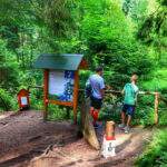 Turysta z dzieckiem, ścieżka przyrodnicza, tablica 7. Nejvýchodnější kout - Rezerwat Przyrody Bukovec, Czechy