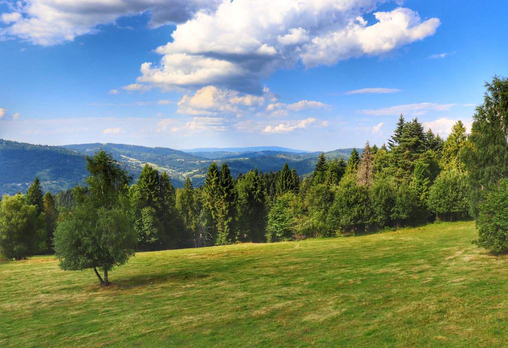 Widok rozpościerający się z wieży widokowej Surovina, Oszczadnica