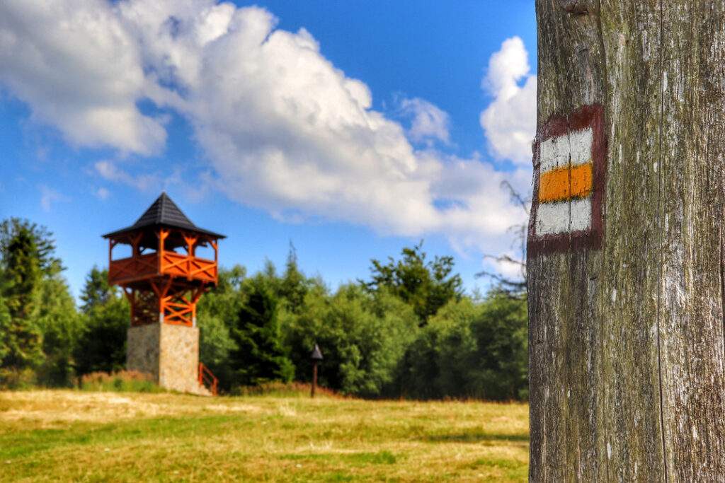 Wieża widokowa Surovina, Oszczadnica, oznaczenie żółtego szlaku na drzewie