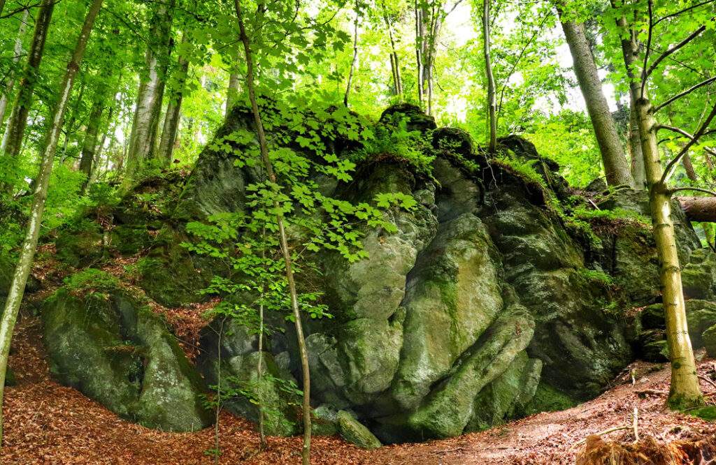 Ciekawa formacja skalna w lesie, czerwony szlak - Rešovské vodopády, Czechy