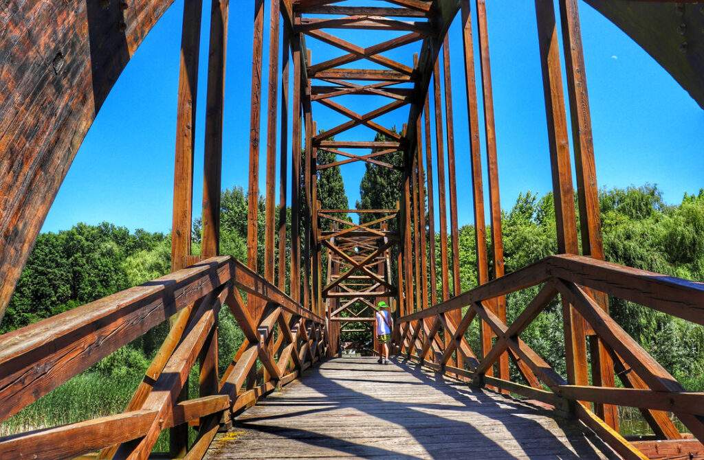 Drewniany most, Wyspa Kányavári - Mały Balaton (Kis-Balaton), dziecko niebieskie niebo