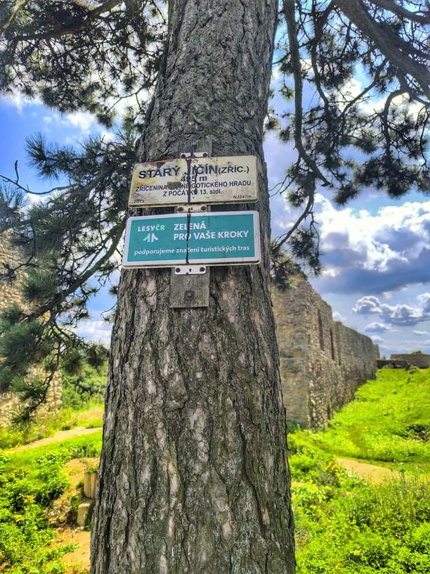 Drzewo z białą tabliczką przy ruinach zamku w Starým Jičínie