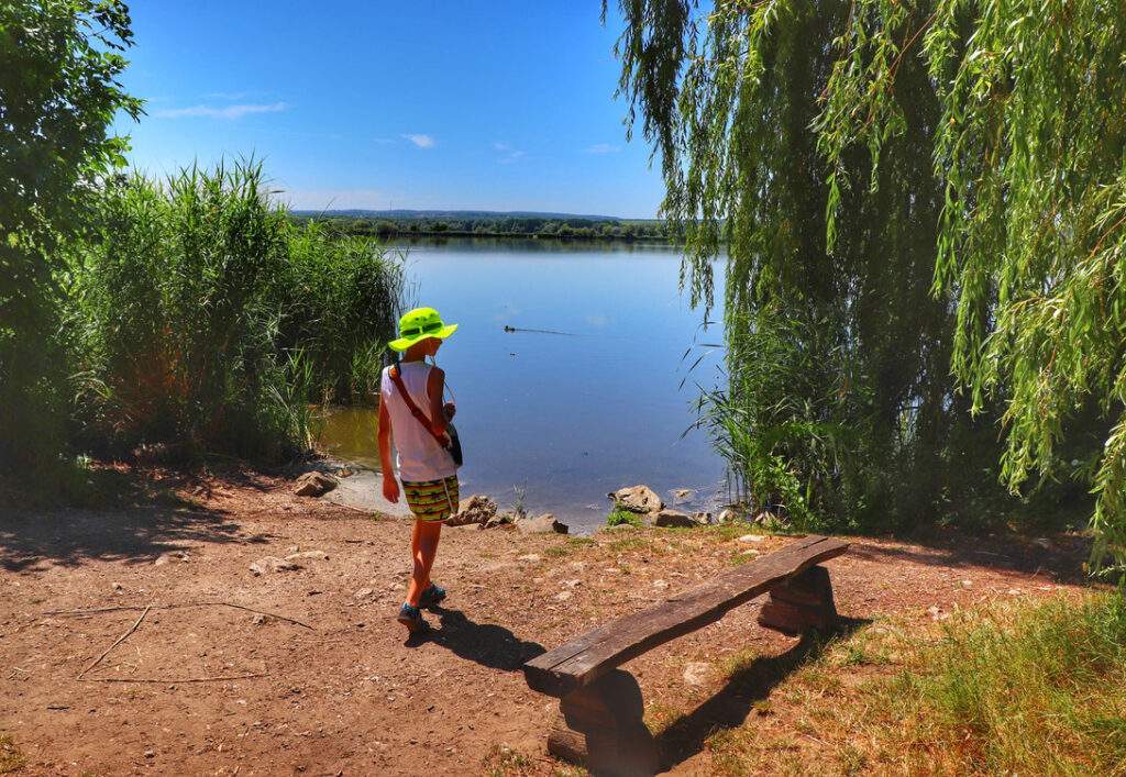 Dziecko na brzegiem jeziora, ławka, Wyspa Kányavári - Mały Balaton (Kis-Balaton)