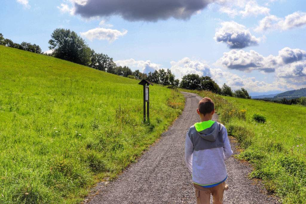 Dziecko, szeroka, żwirowa droga prowadząca do wieży widokowej Okrouhlá, tablica ścieżki edukacyjnej (NAUČNÁ STEZKA VE STAŘÍČI)