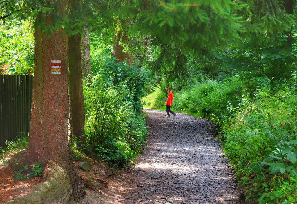 Dziecko, szeroka, żwirowa droga na czerwonym szlaku, Rešovské vodopády 