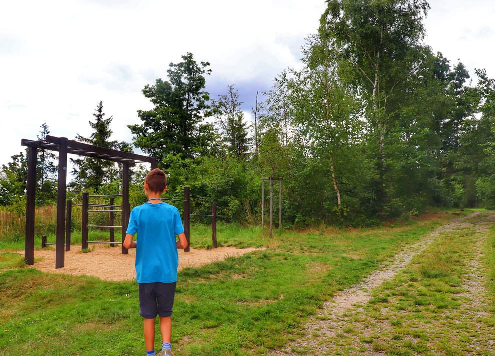 Dziecko w drodze na Graniczny Wierch, drewniana drabinka na szlaku