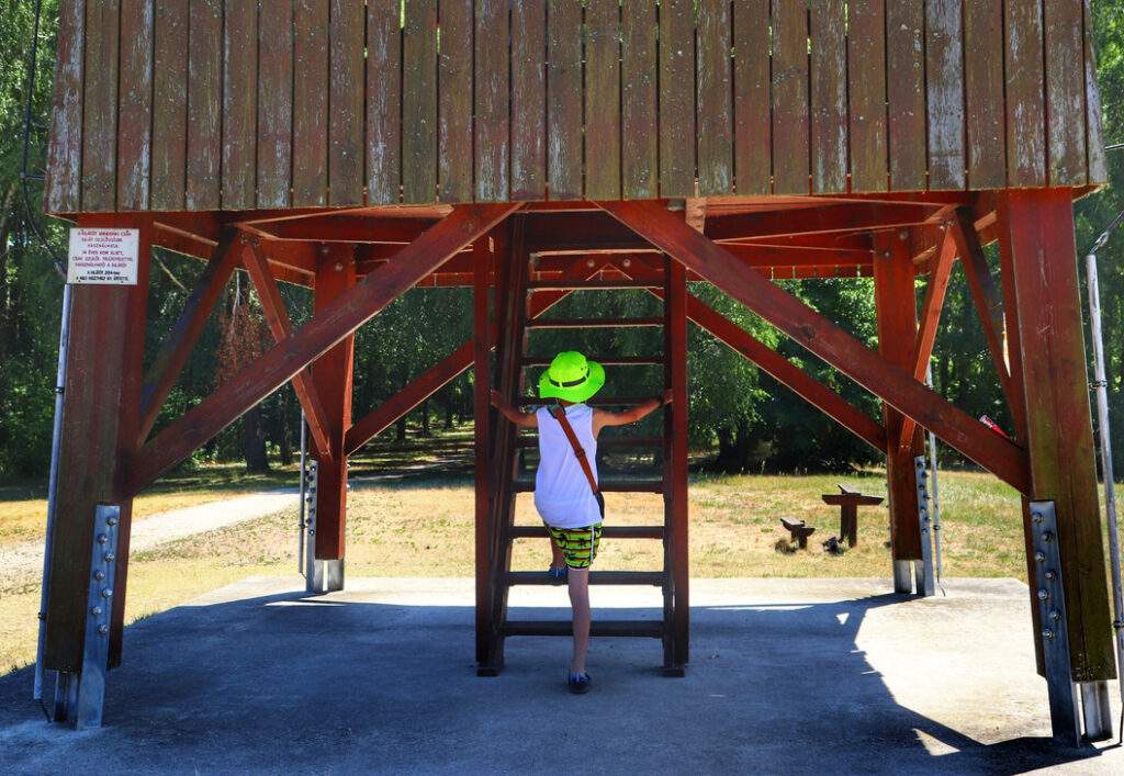 Dziecko wchodzące po drabince na wieżę widokową Nagy - Wyspa Kányavári