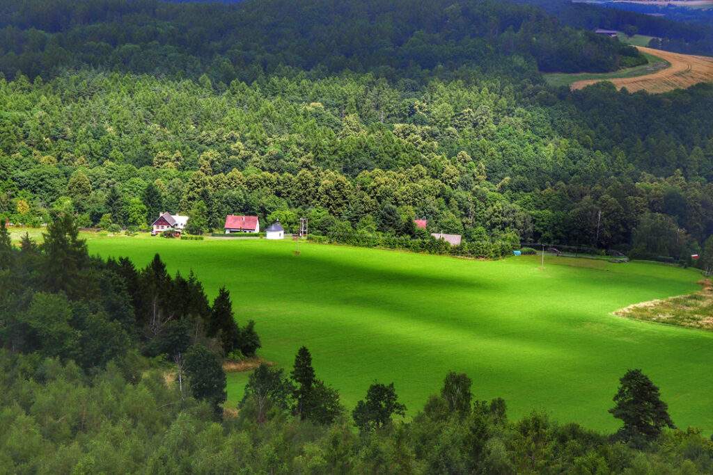 Graniczny Wierch, widok z wieży widokowej, lato, soczysta zieleń trawy