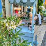 Kwiaciarnia, Półwysep Tihany, Węgry