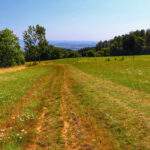 Łąka na żółtym szlaku idącym do wieży widokowej Háječek