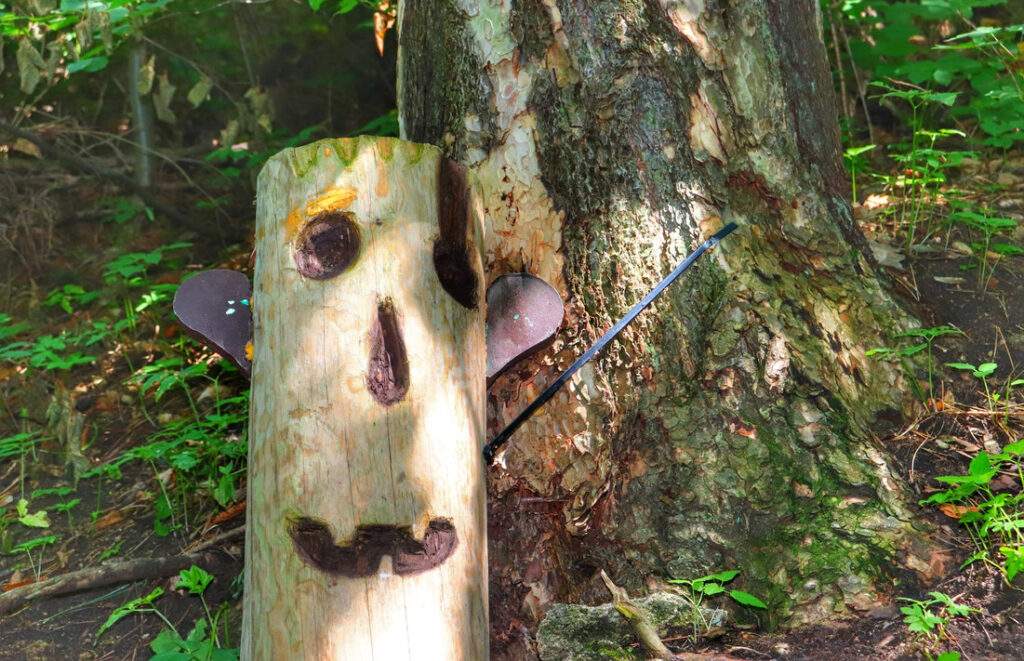 Las, drewniana figurka przy szlaku prowadzącym do ruin zamku w Starym Jiczynie