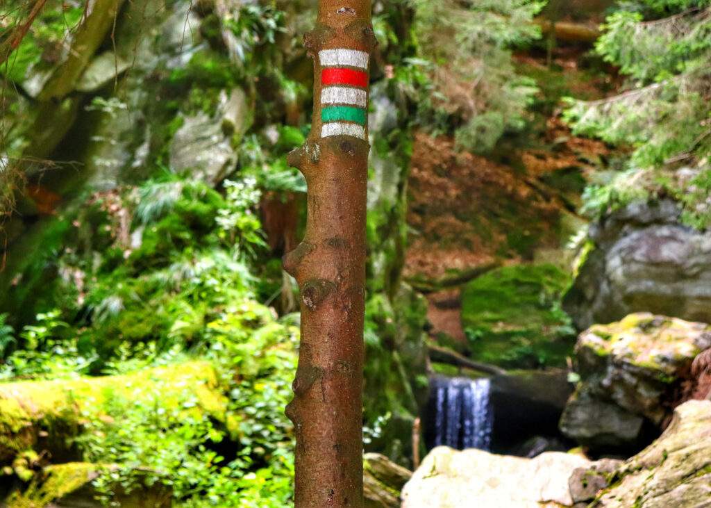 Oznaczenie na drzewie szlaków w kolorze czerwonym i zielonym, w tle skały i wodospad, Rešovské vodopády w Czechach