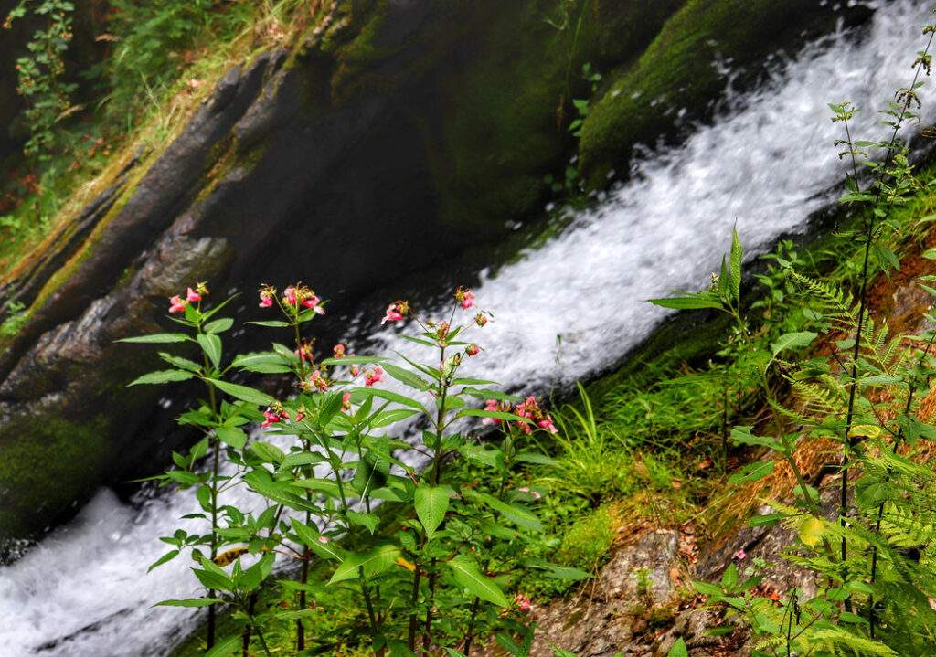 Rešovské vodopády w Czechach 