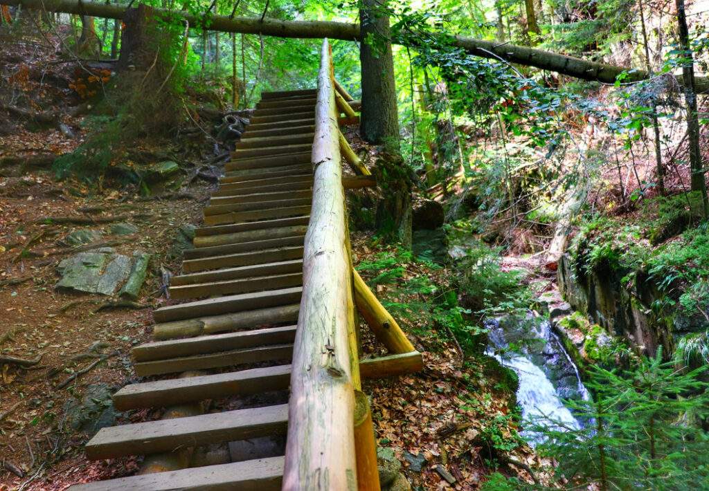 Rešovské vodopády w Czechach, strome, drewniane schody, las