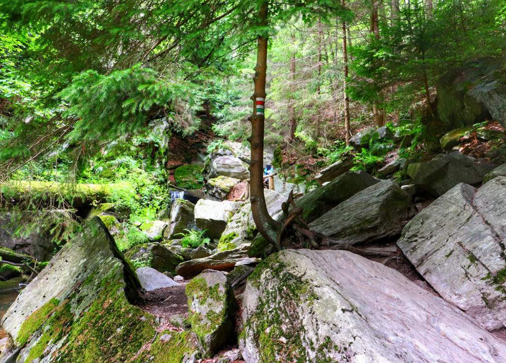 Skalne przejście na czerwonym szlaku - Rešovské vodopády w Czechach