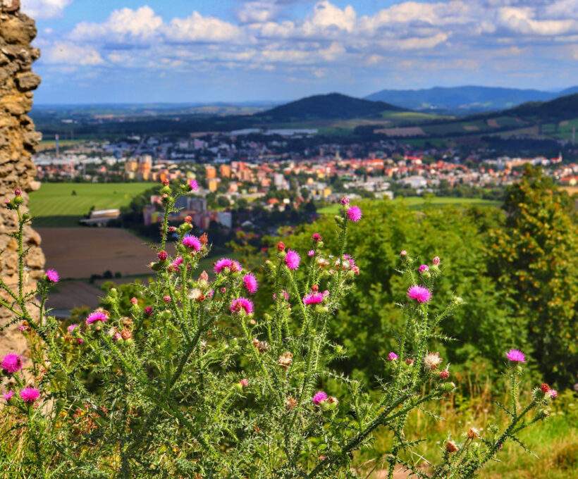 Stary Jiczyn (Starý Jičín) zamek – ruiny