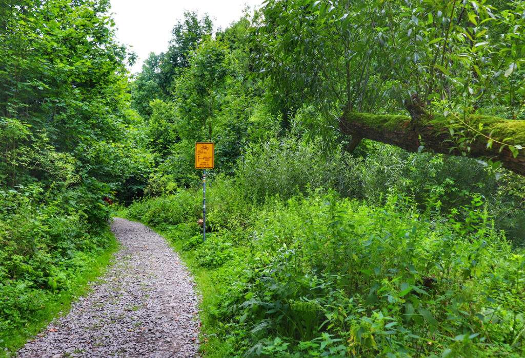 Szeroka, żwirowa droga na czerwonym szlaku - Rešovské vodopády , Czechy