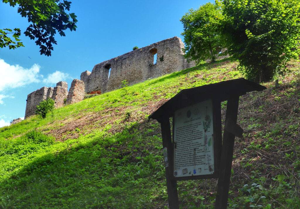 Tablica ścieżki edukacyjnej na tle murów zamku w Starym Jiczynie, pod błękitnym niebem