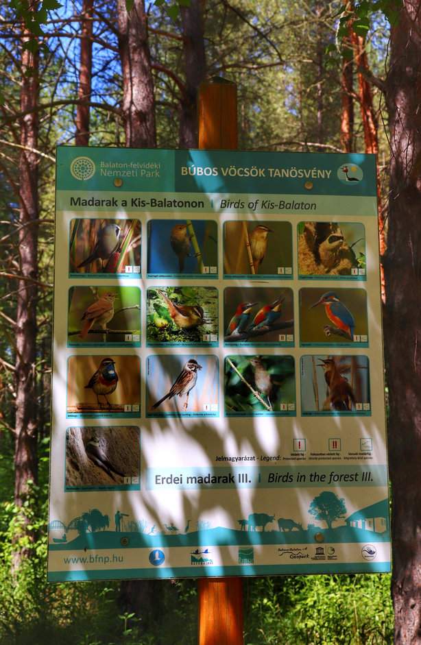 Tablica ścieżki przyrodniczej Kis-Balaton - ptactwo